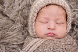 _DSC0815-Edit